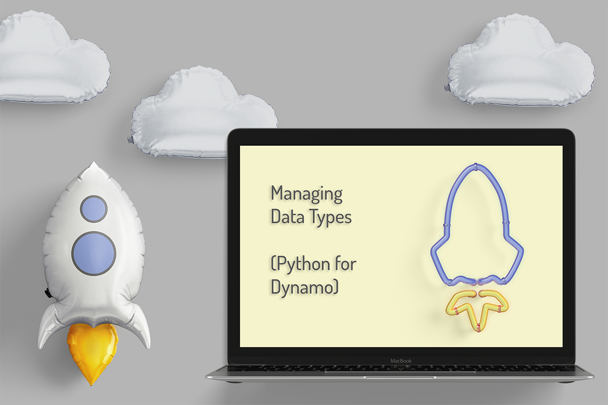 Art for Managing Data Types (python for Dynamo)